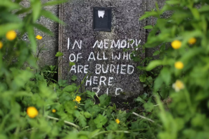 Mother and Baby Homes