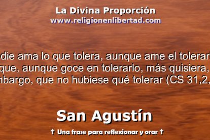 Tolerar no es indiferencia