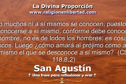 San Agustín. Comentario al Salmo 118,8,2