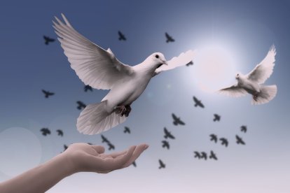Mano-paloma-luz
