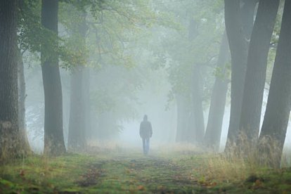 "En la sociedad expuesta, cada sujeto es su propio objeto de publicidad. Todo se mide en su valor de exposición." (Byung-Chul Han)