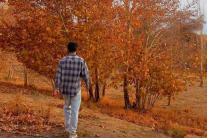 Un hombre camina hacia un bosque otoñal... también el Seminario de Vida en el Espíritu es una exploración espiritual