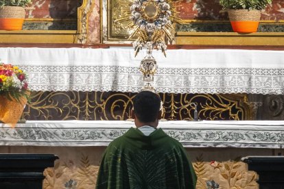 La identidad sacerdotal es una en algunos aspectos pero con la diversidad de su condición secular o regular.