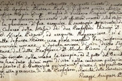 El acta de bautismo del hijo de Rufina María y Vincenzo.