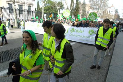 Marcha por la Vida 2025 en Madrid, el domingo 23 de marzo