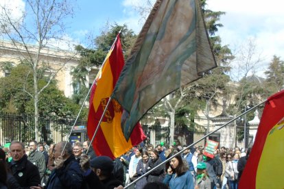 Marcha por la Vida 2025 en Madrid