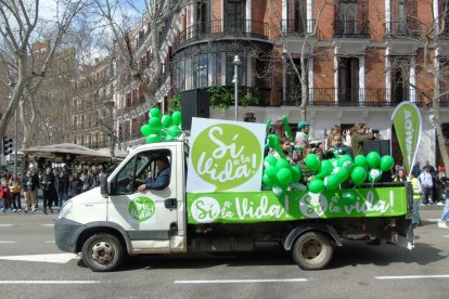 Marcha por la Vida 2025 en Madrid