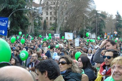 Marcha por la Vida 2025 en Madrid