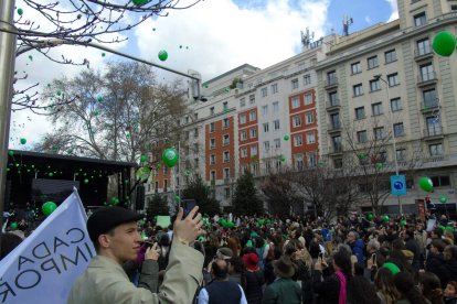 Marcha por la Vida 2025 en Madrid