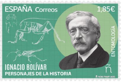 El entomólogo Ignacio Bolívar Urrutia en un sello español de octubre de 2025... pero se equivocó con Altamira.