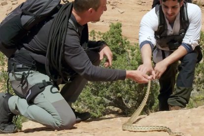 Bear Grylls anima a Paras Patel, MAteo en The Chosen, a tomar una serpiente por la cola en The Chosen in the Wild