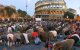 Musulmanes en Roma. Alessandra percibió enseguida, de regreso a casa, la pérdida del sentido de comunidad y trascendencia que ofrece la religión.
