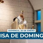 La iglesia celebra este domingo el Domingo de la Palabra de Dios, instituido por Francisco en 2019.