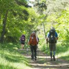 Peregrinos recorriendo el camino