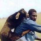 Un zambiano portando una cabra