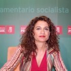 La consejera andaluza de Salud, María Jesús Montero.