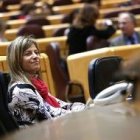 La ministra Aído en el Congreso