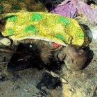Los ataques en Nigeria han acabado con 500 cristianos