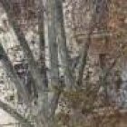 Campaña de publicidad retirada en Valencia