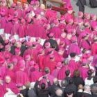 El Papa se dirigió especialmente a los obispos nombrados en  los últimos meses