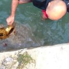 La Policía realizó esta foto en el momento de recuperar los objetos del canal