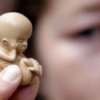 ¿Puede un ser humano, aunque esté ya muerto, usarse como mero recurso económico?