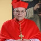 El cardenal Burke ha sabido ponerse firme con católicos rebeldes y poderosos, como el vicepresidente de EEUU o su ministra de sanidad