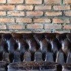 Sor Cristina insiste en que su objetivo principal es evangelizar y dar testimonio - antes de cada actuación invoca al Espíritu Santo