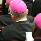 Muchos padres sinodales señalan que la relatio de la primera semana tiene muchas deficiencias y se deja temas