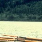 En 1996, Ted Danson (el dueño del bar Cheers) interpretó en Lago Ness a un hombre decidido a demostrar que no hay nada bajo esas aguas escocesas.