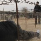 Campo de entrenamiento yihadista cerca de Damasco... al acercarse el invierno y aumentar las fuerzas internacionales, algunos se asustan