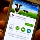 El Lobola Calculator permite también calcular el valor en vacas de un hombre, aunque no sea tradición en África