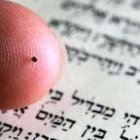 Este puntito sobre un dedo es la nanobiblia del Museo de Israel... en realidad, sólo contiene los 5 primeros libros, el Pentateuco