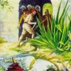 Agarraron al hijo, lo mataron y lo arrojaron fuera de la viña