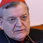 El cardenal Raymond Leo Burke.