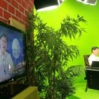 El cardenal Tagle emite su mensaje desde TV Maria Filipinas, ahora también online