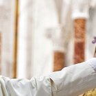 El Papa Francisco, como sus dos predecesores, oró en el Santuario de la Virgen de la Caridad del Cobre, símbolo de unión de los cubanos