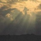 Entonces verán al Hijo del hombre...