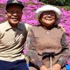 Toshiyuki decidió combatir la depresión de Yasuko con las armas que tenía: las flores.