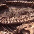 La paleontología ayuda a entender la historia de las especies animales, incluyendo las ya desaparecidas, y por lo tanto la grandeza de la Creación de Dios