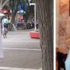 P. Marcelo De Benedectis