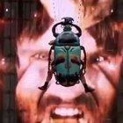 El macho cabrío fue el gran protagonista de la ceremonia, dentro y en el panel exterior, donde tras sus ojos se adivinan otros.