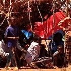 Sequía en Etiopía - grandes extensiones de terreno ven como desaparecen las cosechas