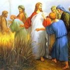 ¿No habéis leído nunca lo que hizo David...