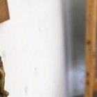 Muchos de los mejores colegios y universidades en EEUU son cristianos