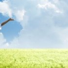 Es importante tomar la decisión de luchar por objetivos en la vida y alcanzar la libertad interior, con gente que nos ayude