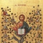 Yo soy la vid, vosotros los sarmientos