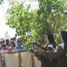 Las carmelitas de Maipo acogen jóvenes peregrinos en su santuario