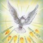 Los dones del espíritu transforman nuestro interior