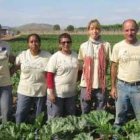 Trabajadores en Viveros El Sembrador, una empresa de inserción de Cáritas Albacete